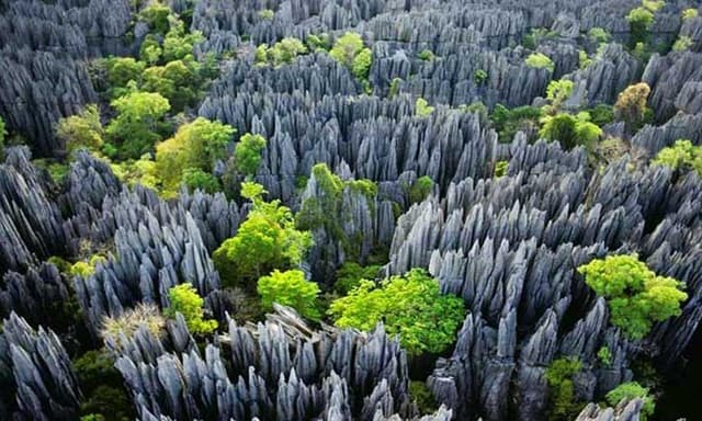 Tsingy de Bemaraha