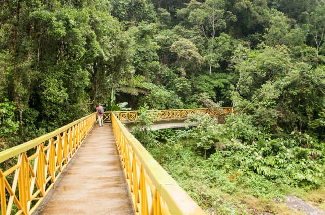 Parc National de Ranomafana
