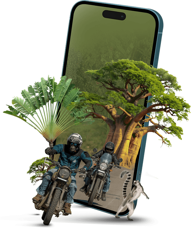 application mobile