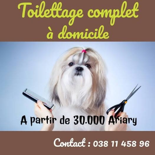 Toilettage de votre chien à domicile Cani Feli Life