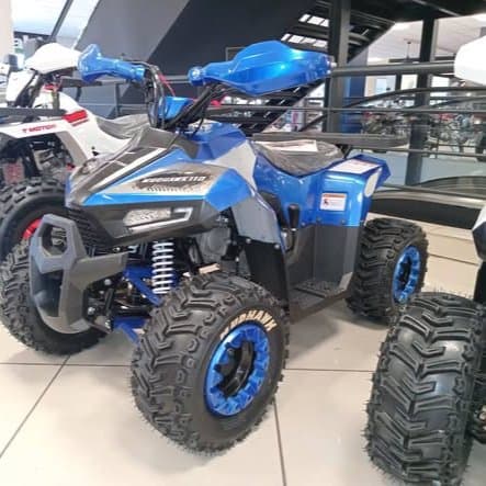 TAO MOTOR - MUDHAWK 110