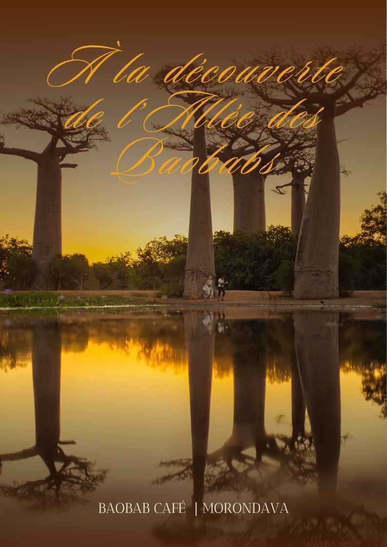 ALLEE DES BAOBABS