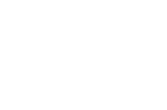 LPVM